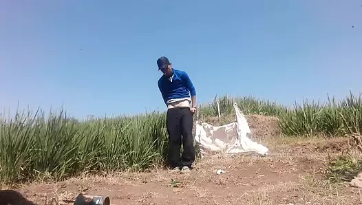 Pirinç tarlasında, petan, çiş, bir yarağın sikildiğini gösteriyor