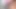 iki şehvetli sarışınlar emmek üzerinde dildos içinde ön arasında bir azgın damızlık