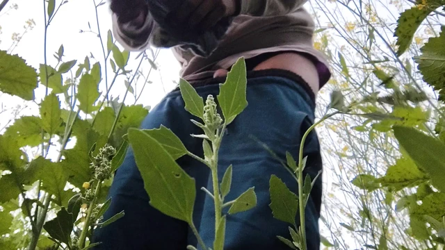 Apni bhabhi ko nangi dekhkar jungle mein sex karne lag Gaya