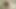 Çok güzel Japon orta yaşlı seksi kadın ıslak amcık dölleme