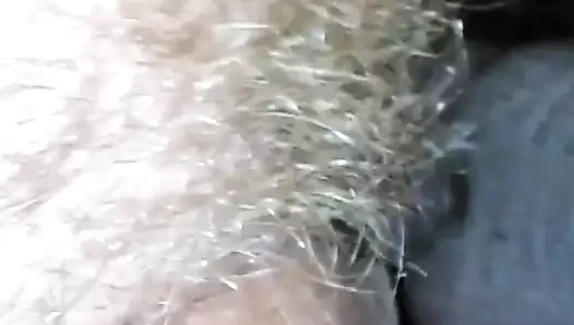 Bbc sikikleri süper kıllı beyaz kedi