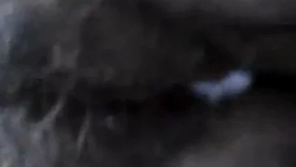 Eski kızımı dölle sikiyorum