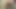 Cj sıkı bağcıklar alıyor