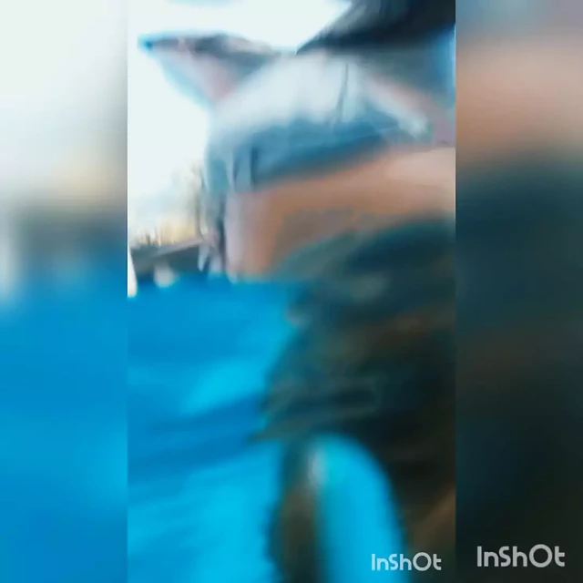 tek boynuzlu at deniz kızı