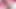 Fantastik travesti emily bir yatakta seksi solo becerilerini gösterir