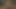 Siyah bbw masturbates üzerinde yatak