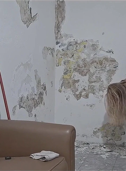 Bricklayer olmakta iyi mi olmalıyım yoksa Tuğlacı'ya iyi mi davranmalıyım?