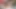 Anında Derin Boğazdan Vadina, Sonra Oral Seks, Ham Creampie İlişki, Seks Tam Objektif Açı