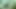 Stacxxxs sunar: Greenlight Special - Amber Lee