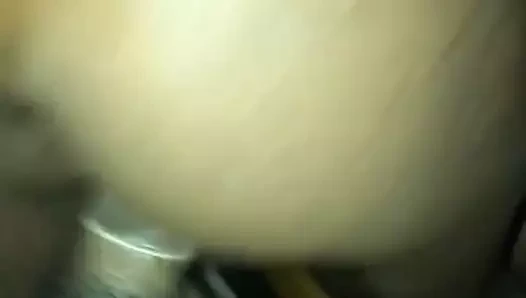 Blackette alma büyük siyah horoz