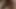 anal facefuck