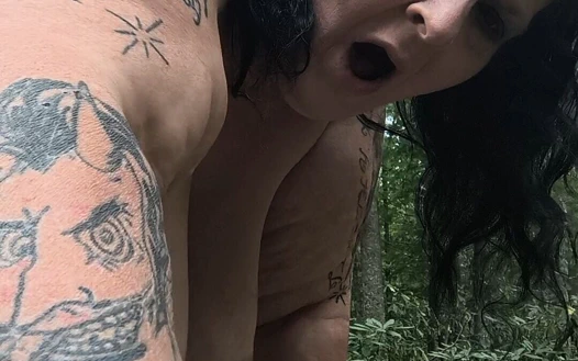 Sonbaharda, bu şişman o büyük ağaca domaltıyor