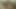 Siyah adam sıkı göt deliği olan beyaz bir adamı pirsingli yarağıyla parçalıyor