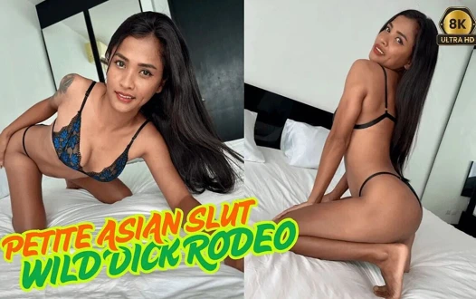 Minyon Asyalı sürtük vahşi yarak rodeo [vr pmv]