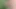 60 fps'de boşalmak