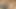 hot wife ke Munh Mein land De Diyafull real sex video