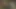 oral seks, cunnilingus ve daha fazlası