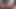 Perdue en France