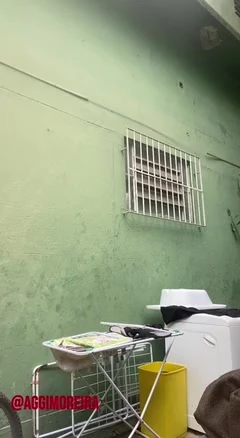 Yaramaz komşu arka bahçede gösteriş yapıyor