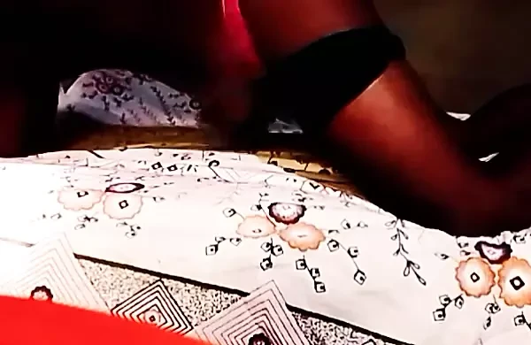 Siyah eşek arıları
