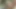Büyük memeli orta yaşlı seksi kadın bahçede parmaklıyor