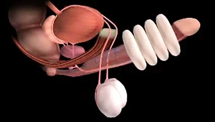 El masajı röntgen tarayıcısı ilk kez