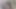 kamış suyu