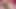 Daisy Ducati ve Nathan Bronson - Daisy götünü tehlikeye atıyor