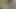 pee10