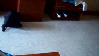 Birleşik Krallık sarışın milf