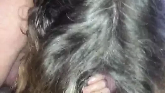 Eski İngiliz anneanne amatör ırklararası bedford