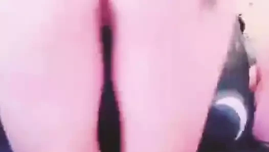 Asya parmak kremsi kedi