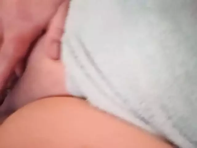 kedi