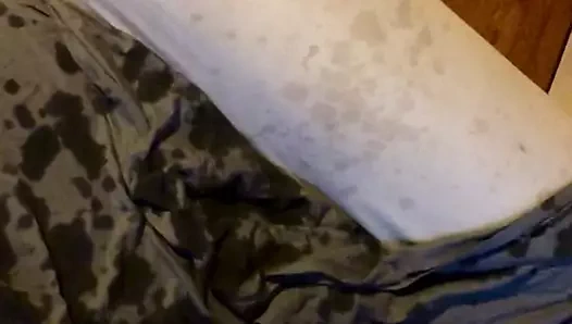 Altın ayı baba için çok iyi fışkırtıyor.