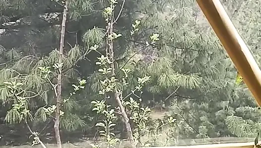 Son bölüm - ormanda yabancı bir kızla açık havada seks