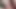 Seksi Sofie Marie büyük zenci yarağı tarafından sikilmeden önce yarak yutuyor