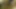 Bağlı orta yaşlı seksi kadın yoğun fetiş seansında kenetleniyor ve damlıyor
