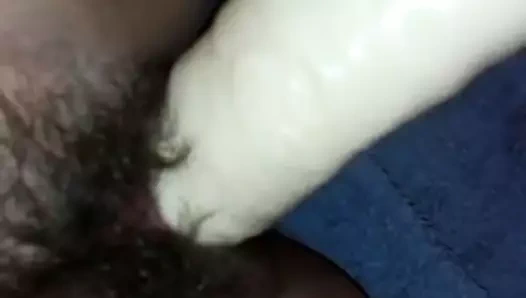 Drasan kıllı kedi 2 büyük beyaz horoz