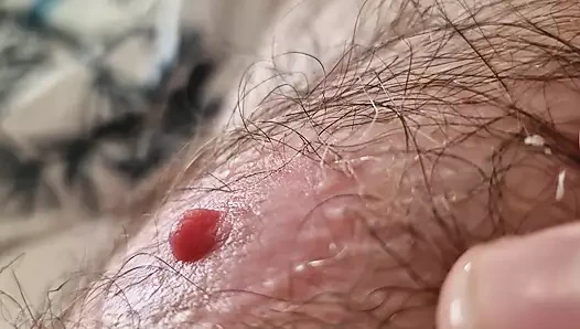 Bob Chris ve Darren için pazar sabahı sözlü oyun zamanı