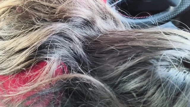 Kız arkadaş erkek arkadaşına arabada sakso çekiyor