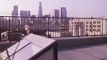 Shannon tweed - son görüşme