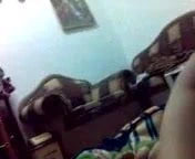 Arabian sharmota emme çük