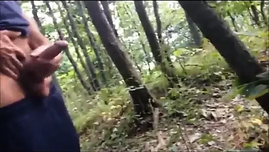 Str8 baba ormanda ne yapıyorsun
