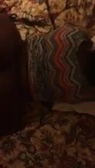 Büyük siyah ganimet (böylece dünyanın sallanmasının dışında)