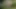 Mutter und Tochter ficken mit zwei fremden Typen im Park