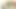 Twerpy külot koklayan inek melvin sporcular ve ponpon kızlar tarafından yakalanıyor