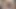 XXMOV