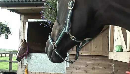 Kirsten Halborg bugüne kadarki en ateşli iri güzel kadın modellerinden biridir.  Büyük memeli ve şişman amcıklı iri güzel sarışın kadın