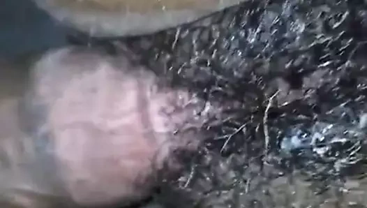 oyun içinde bazı KEDİ