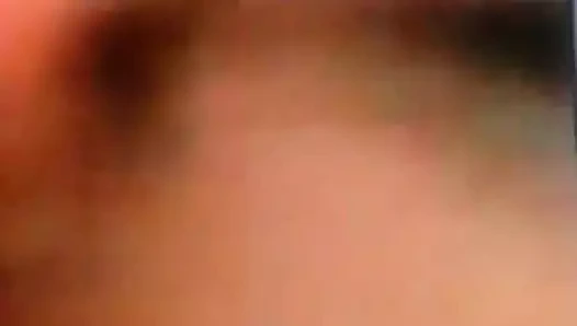 lucia l di milano a pecorina